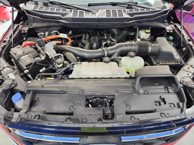 2024 FORD F150 XLT 1FTFW3LD7RFA31667