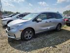 Lot #3320098456 2024 HONDA ODYSSEY EX