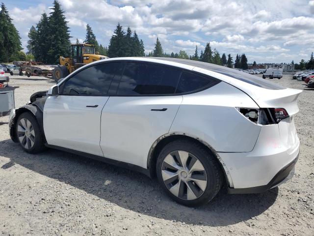 2021 TESLA MODEL Y 5YJYGAEE4MF145011