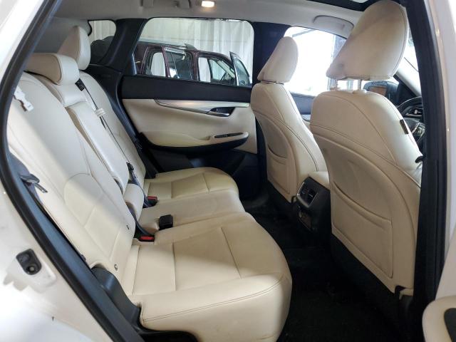 2019 INFINITI QX50 ESSEN 3PCAJ5M34KF135103