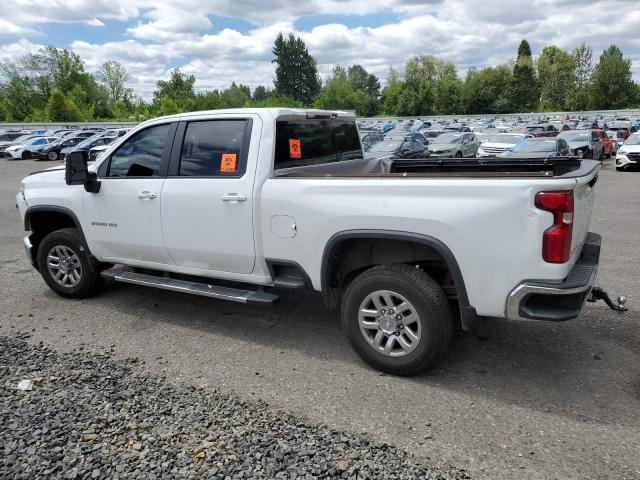 2024 CHEVROLET SILVERADO - 1GC1YNEY7RF124107