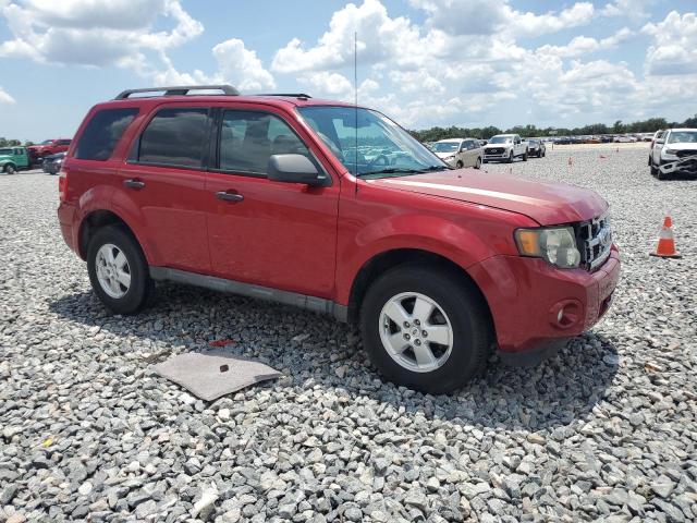 2010 FORD ESCAPE XLT - 1FMCU0DGXAKA08889