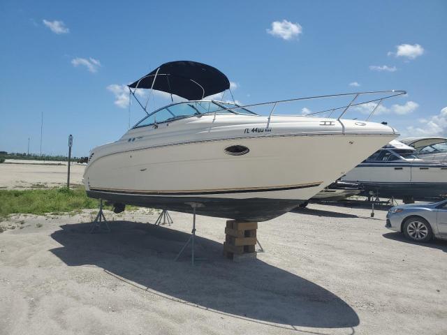 sea ray BOAT