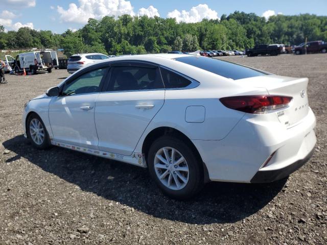 2019 HYUNDAI SONATA SE 5NPE24AF4KH810828