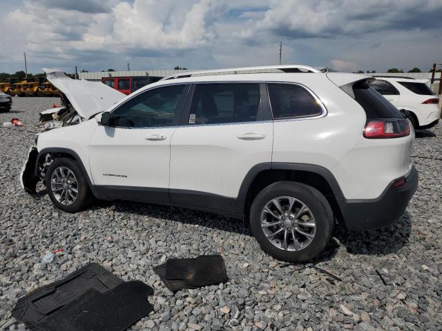 2019 JEEP CHEROKEE L - 1C4PJLLB9KD392353