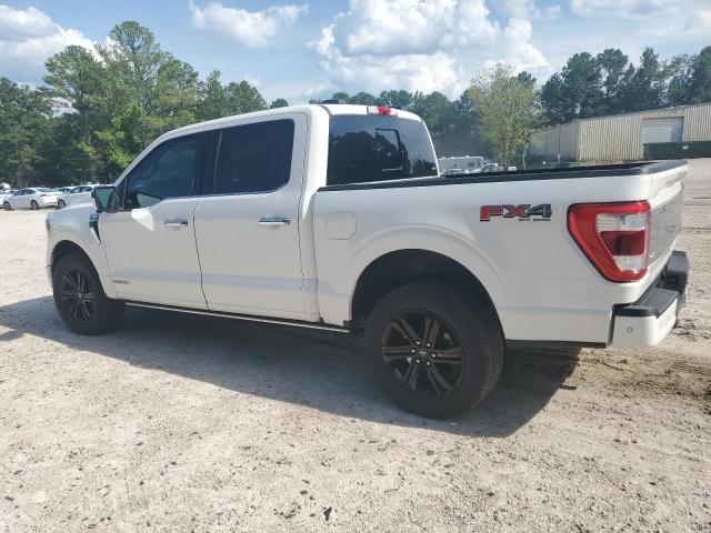2023 FORD F150 SUPER 1FTFW1ED9PFA47822