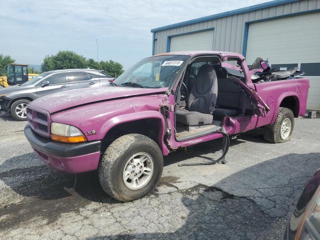 DODGE DAKOTA
