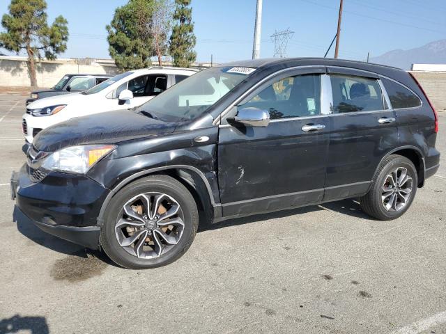 Vin: 5j6re3h33bl038696, lot: 63523805, honda crv lx 2011 img_1