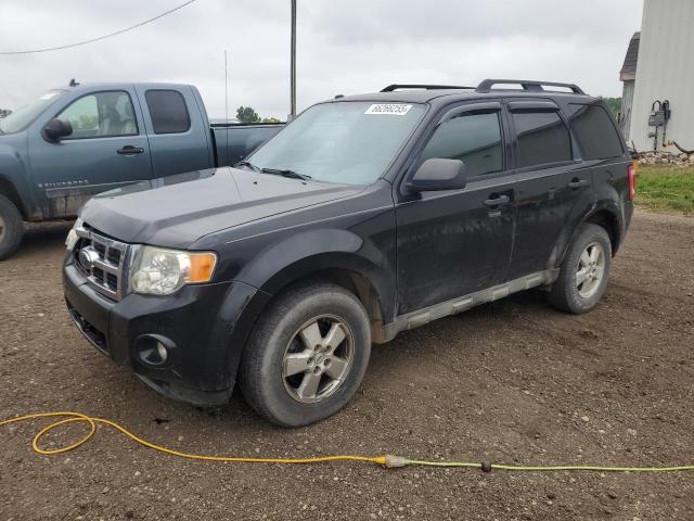 FORD ESCAPE XLT
