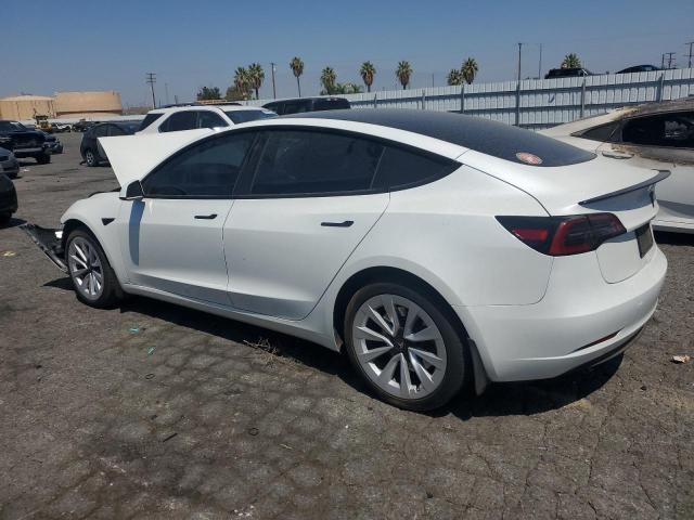 2023 TESLA MODEL 3 5YJ3E1EA0PF679107