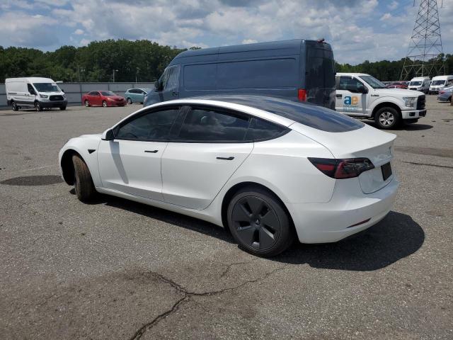 2021 TESLA MODEL 3 5YJ3E1EA7MF041884