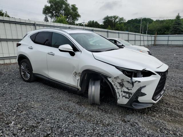 2022 LEXUS NX 350H 2T2GKCEZ1NC004648