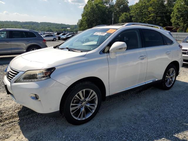 LEXUS RX 450H
