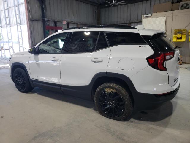 2024 GMC TERRAIN SL 3GKALPEG0RL394646