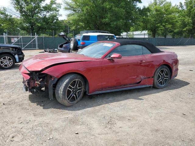 FORD MUSTANG 2019 red  gas 1FATP8UH5K5200696 photo #1
