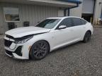 Top Destinations for Shipping Cars from the USA