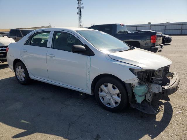 2010 TOYOTA COROLLA BA - 1NXBU4EE1AZ273883