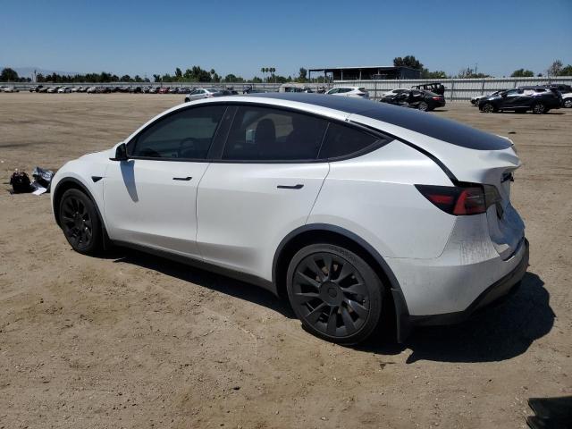 2021 TESLA MODEL Y 5YJYGDEE0MF097881