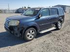 Top Destinations for Shipping Cars from the USA