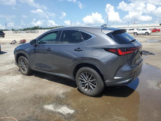 2023 LEXUS NX 250 2T2ADCAZ7PC005814