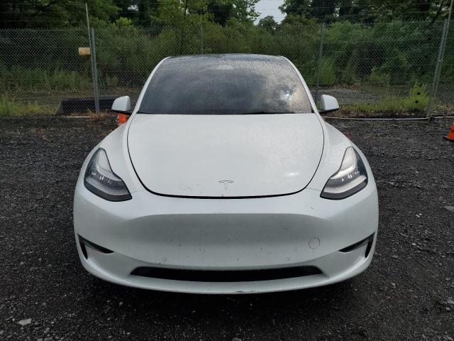 2021 TESLA MODEL Y 5YJYGDEE9MF184694