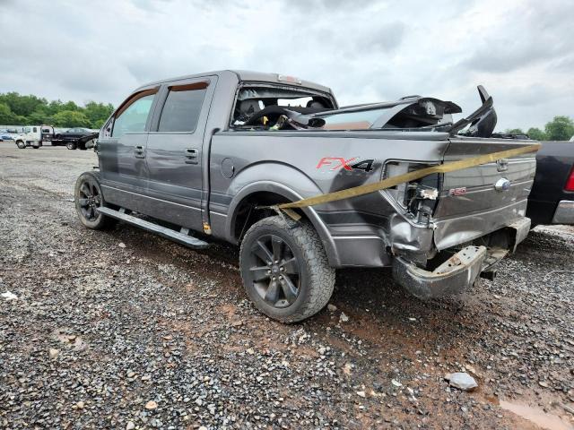 FORD F150 SUPER 2013 gray  gas 1FTFW1ET5DFB48598 photo #3