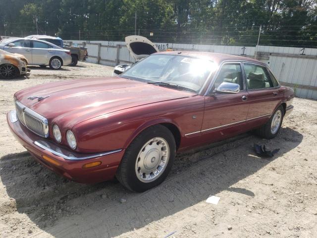 JAGUAR VANDENPLAS