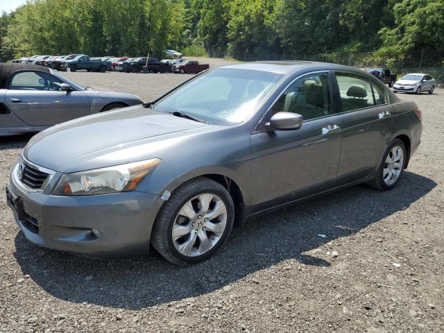 2008 HONDA ACCORD EXL #3301602741