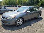 Lot #3301602741 2008 HONDA ACCORD EXL