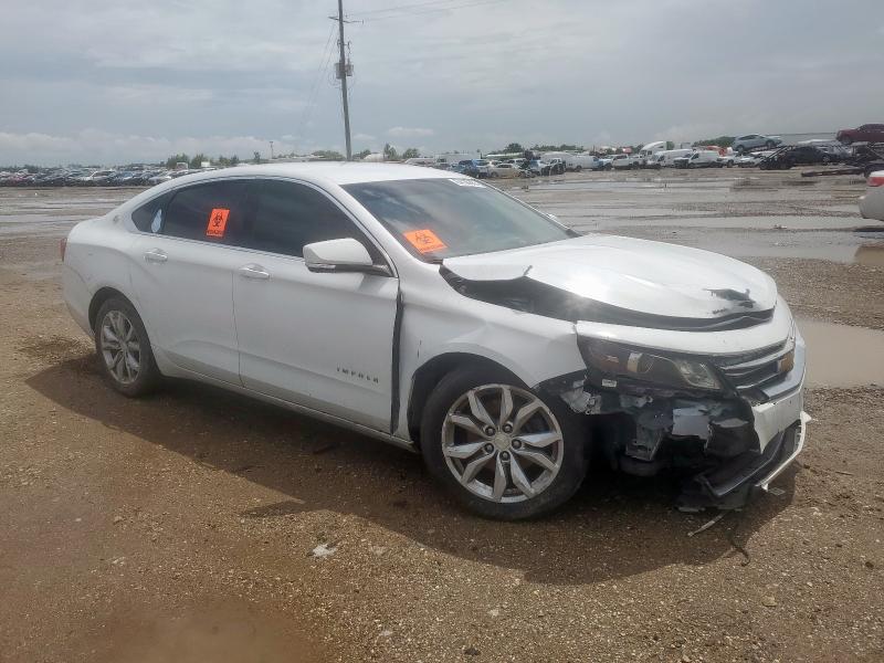 2019 CHEVROLET IMPALA LT 1G11Z5S36KU110618