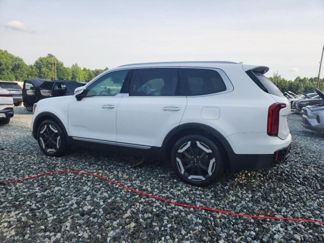 2024 KIA TELLURIDE 5XYP6DGC1RG495594