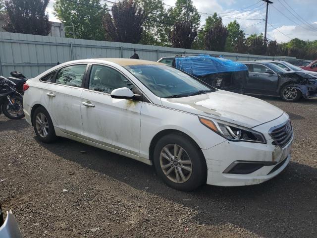 Vin: 5npe24af0gh385566, lot: 63638155, hyundai sonata se 20164