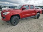 2022 TOYOTA TACOMA DOU - 3TMCZ5AN8NM482621