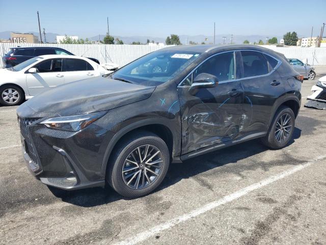 2024 LEXUS NX 350 BAS 2T2AGCEZ8RC040544