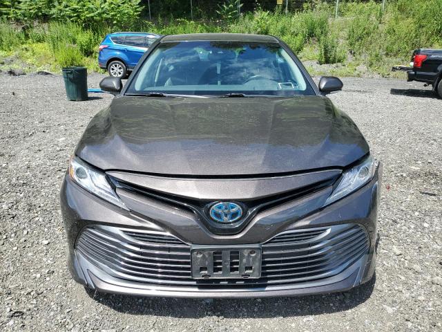 2019 TOYOTA CAMRY HYBR 4T1B21HK9KU512488