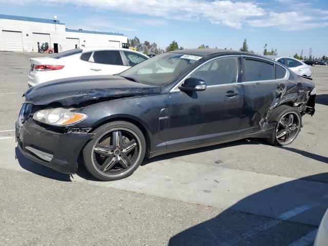 JAGUAR XF LUXURY