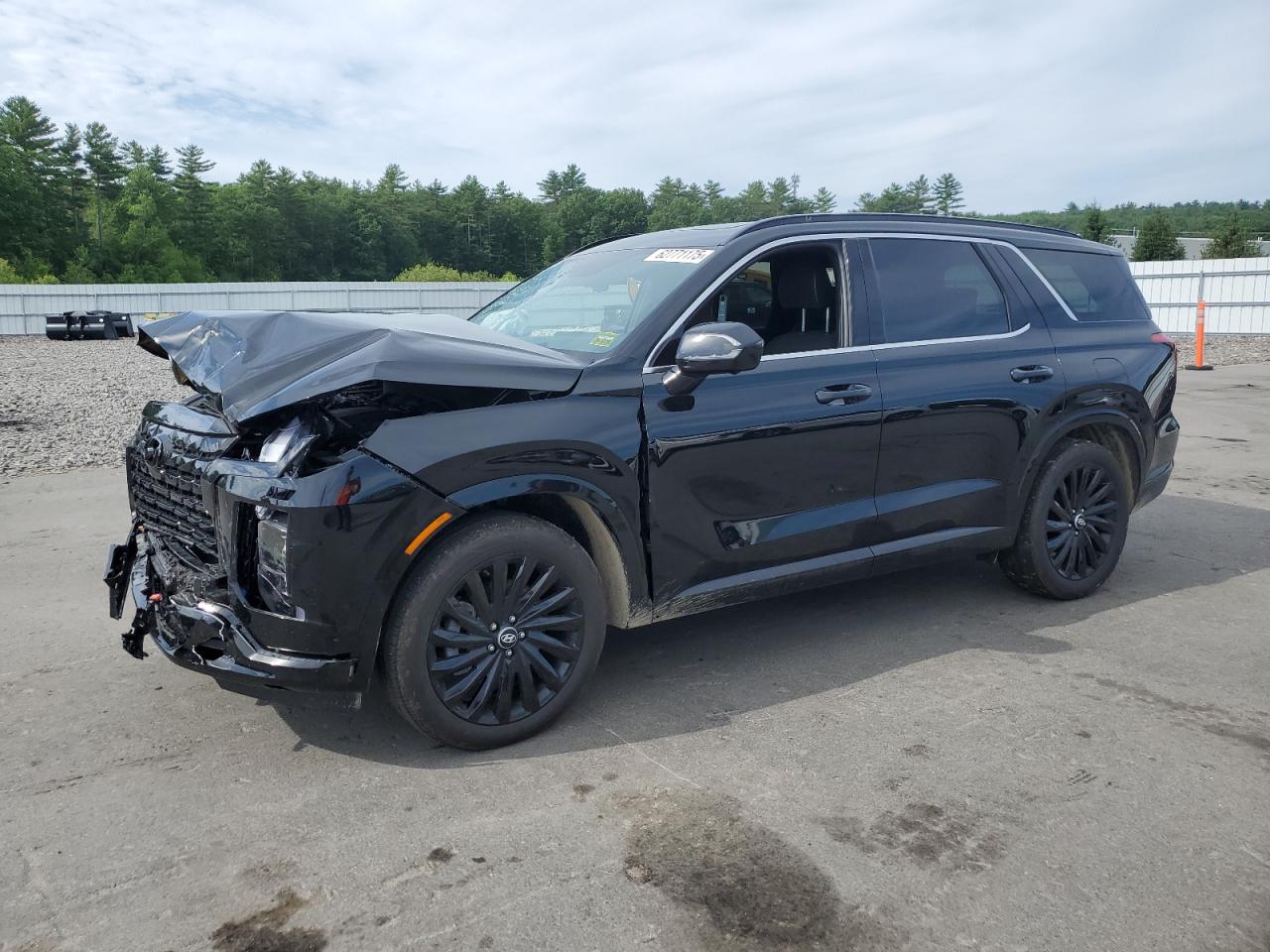 HYUNDAI PALISADE CALLIGRAPHY