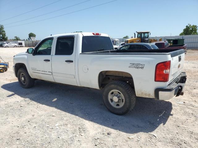2010 CHEVROLET SILVERADO - 1GC4KXBG3AF136734