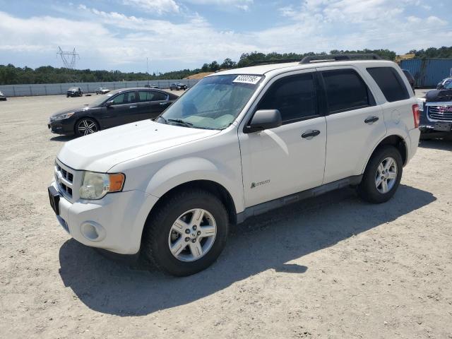 FORD ESCAPE HYB 2009 white  hybrid engine 1FMCU49329KD10380 photo #1