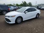 2019 TOYOTA CAMRY LE - 4T1B31HK9KU513198