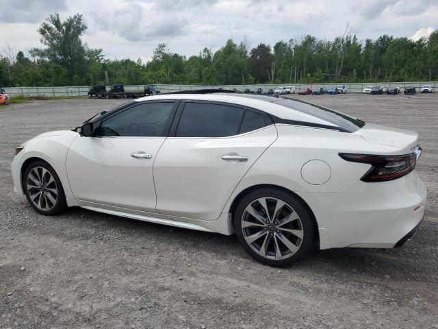 2023 NISSAN MAXIMA PLA 1N4AA6FVXPC501161