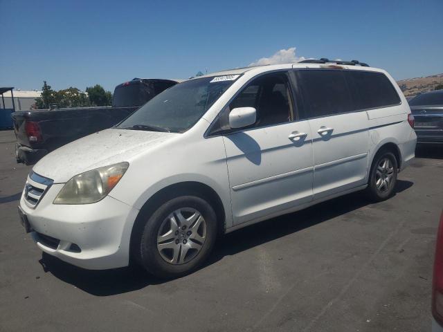 HONDA ODYSSEY EX 2007 white sports v gas 5FNRL38667B460834 photo #1
