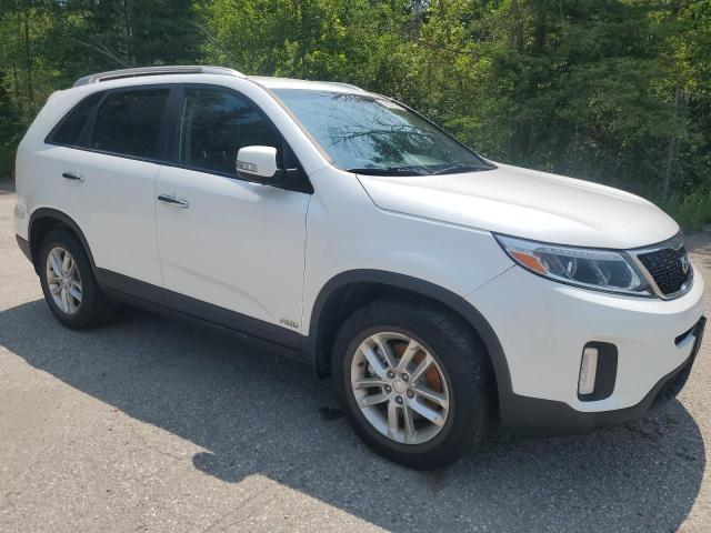 2014 KIA SORENTO LX - 5XYKTCA62EG441974