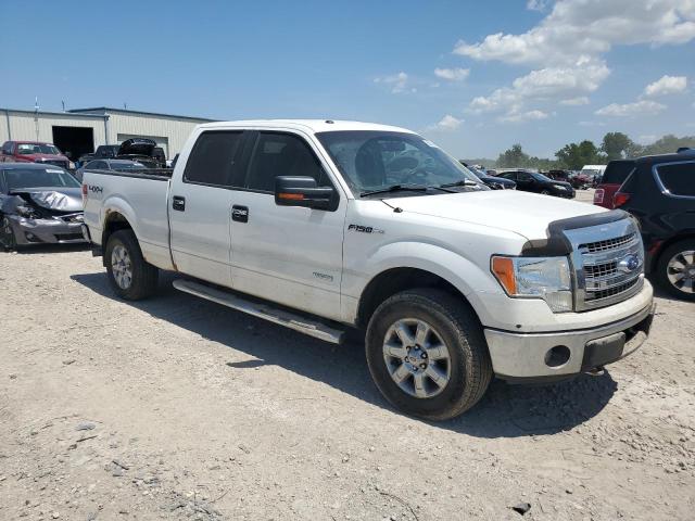 2013 FORD F150 SUPERCREW - 1FTFW1ET0DKE82206