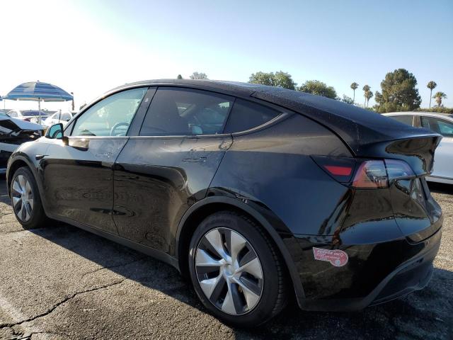 2023 TESLA MODEL Y 7SAYGDED0PF969331