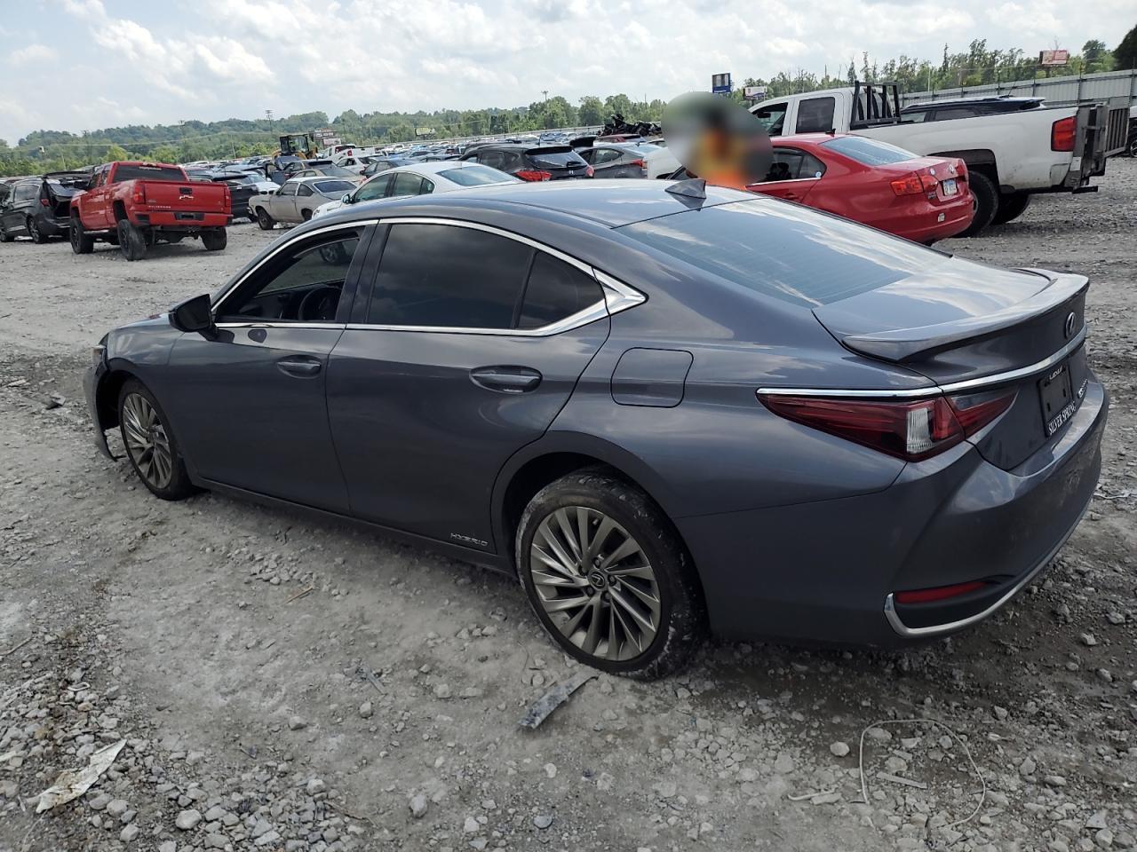 LEXUS ES 300H LUXURY