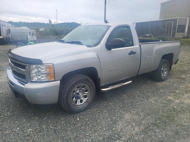 2011 CHEVROLET SILVERADO - 1GCNCREX6BZ159689