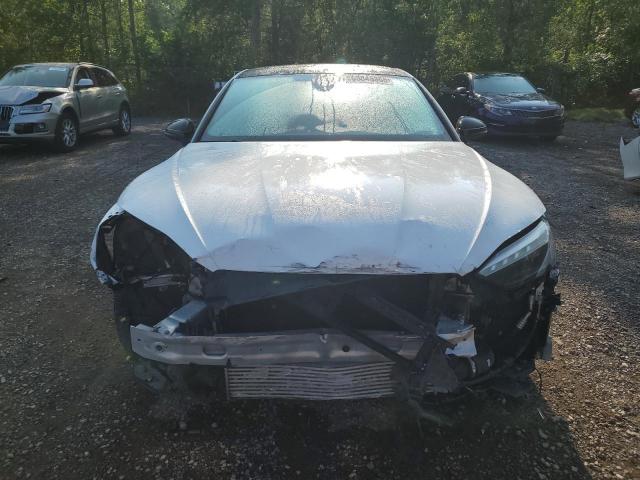 2023 AUDI S5 PREMIUM WAUA4CF52PA014190