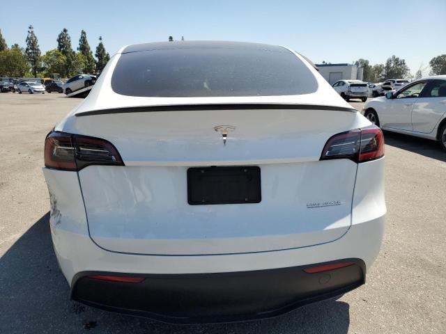 2023 TESLA MODEL Y 7SAYGDEF4PF661449
