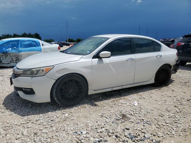HONDA ACCORD SPO